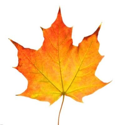 dia65913's profile picture. 