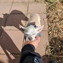 Vince Gray - @p_hattboii - Twitter