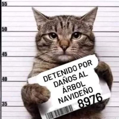 Si tu no me sigues, te dejo de seguir luego no digas que X te quita seguidores