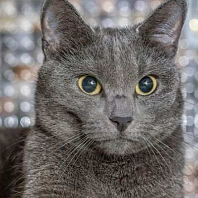 DDx47868318's profile picture. 