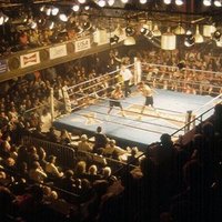PAUL KENNEDY BOXING (@kennedycorner1) 's Twitter Profile