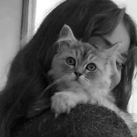 HÜLYA 🧚 (@hulys177193) Twitter profile photo