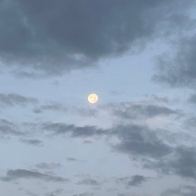 ea94ss's profile picture. my cat is the bestttttt