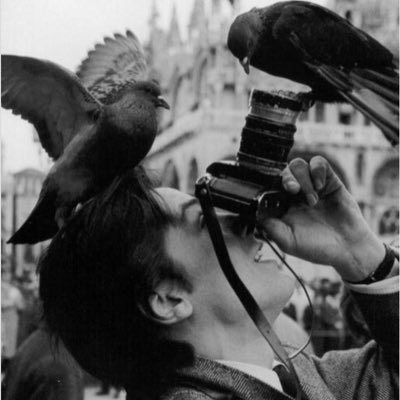 northernndeity's profile picture. • космические плямбы в развороте вселенной                                               • фотоальбом со странными подписями