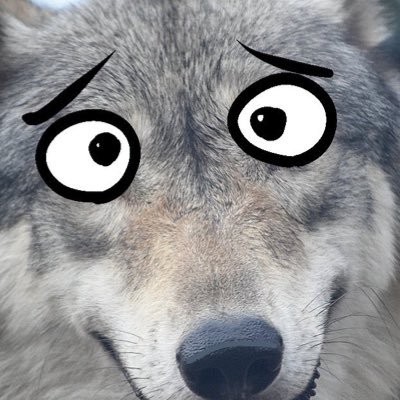 Eさんのプロフィール画像