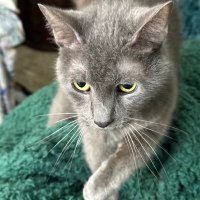 Jean-SPCL (@spcljmm) 's Twitter Profile