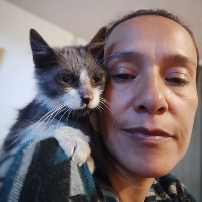 alimento, esterilizo y cuido a los gatitos ferales y callejeros ♥️🐾🦴❤️🩹💜🌞🥰🔥🫶🙌