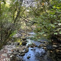 Teacher_Bi (@teacher_bi) 's Twitter Profile