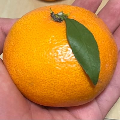 ゆたろさんのプロフィール画像
