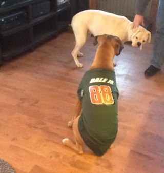 stampme68's profile picture. 