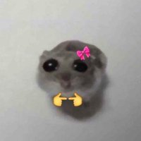 π (@f4shionn) 's Twitter Profile Photo π (@f4shionn) 's Twitter Profile Photo