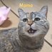 GuangdangSol 🐈 ❤️ | FanPage (@guangdang_fan) Twitter profile photo GuangdangSol 🐈 ❤️ | FanPage (@guangdang_fan) Twitter profile photo