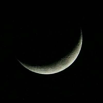 69_duck46906's profile picture. 