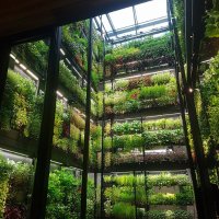 Fadi "Ali" (@robofadi) 's Twitter Profile