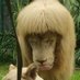 Dillon (@onionringslaya) Twitter profile photo Dillon (@onionringslaya) Twitter profile photo