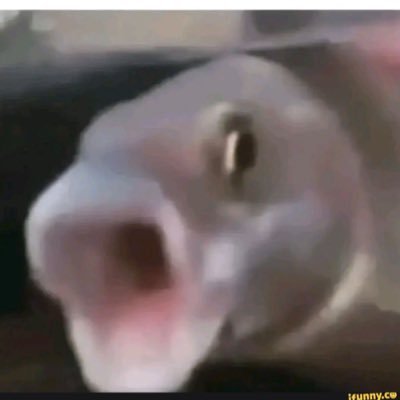 12P52353's profile picture. 