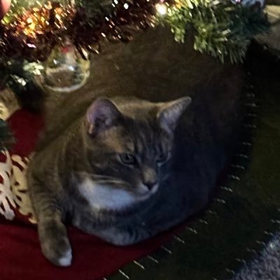 KimmerB52's profile picture. 