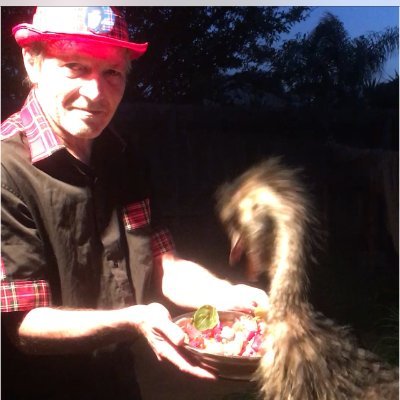 BAY CITY ROLLERS, AUSSIE/SCOT/BRIT/IRISH, SINGING,COLLINGWOOD,EMU,DINGOx,PLANTSANIMALS LNP❌ 26IsInvasionDay Climate H/Rights Racism BLM WEAR A😷EXPLORER🏕🏞