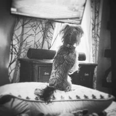 lufamave's profile picture. 🇺🇸 Ǥᵉภ 乂, ｕ𝓼ᗩ
𝒲𝒽𝑒𝓃 𝒸𝑜𝓃𝓉𝓇𝒾𝒷𝓊𝓉𝒾𝑜𝓃𝓈 𝒶𝓇𝑒 𝒶𝒸𝓉𝓊𝒶𝓁𝒾𝓏𝑒𝒹 
𝑒𝓍𝒽𝒶𝓁𝑒...#ⅈꪑꪗꪮꪊ𝕣💕ꪑ𝕛𝕛🎩🪄