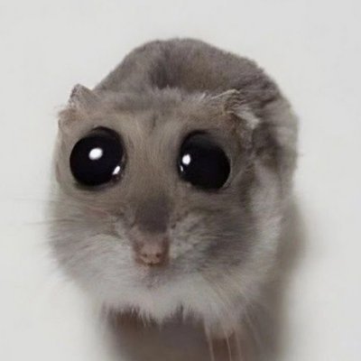 PikaTylerr04さんのプロフィール画像