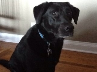 Nana_Marshall's profile picture. 