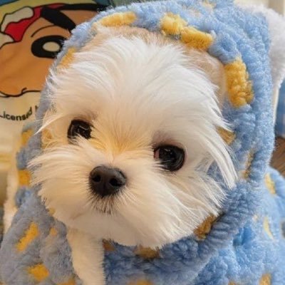 햐さんのプロフィール画像