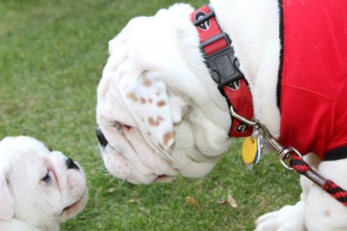 LBhummel's profile picture. 