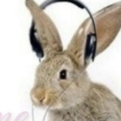 3333ism's profile picture. | bunnies, rhythm games, politics, annoying |