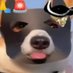 $ahh cto (@ahhhcto) Twitter profile photo $ahh cto (@ahhhcto) Twitter profile photo