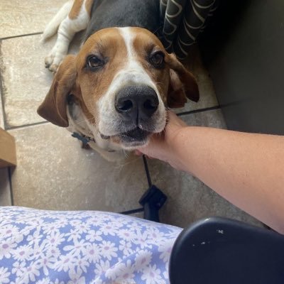 Cassandraw86672's profile picture. We love trump 🥰🎉