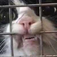Eve Martel (@evemartel) 's Twitter Profile Photo Eve Martel (@evemartel) 's Twitter Profile Photo