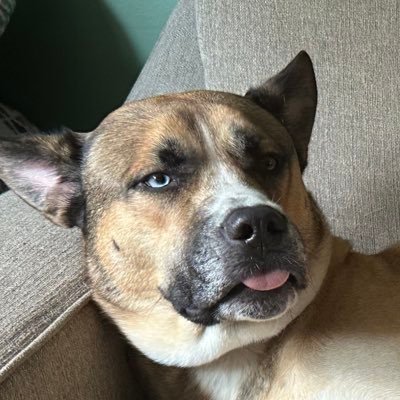 brucesonner's profile picture. 