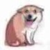 cheng (@feizhaoo) Twitter profile photo cheng (@feizhaoo) Twitter profile photo