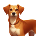 Caramel The Street Dog (@caramelstreetd) Twitter profile photo Caramel The Street Dog (@caramelstreetd) Twitter profile photo