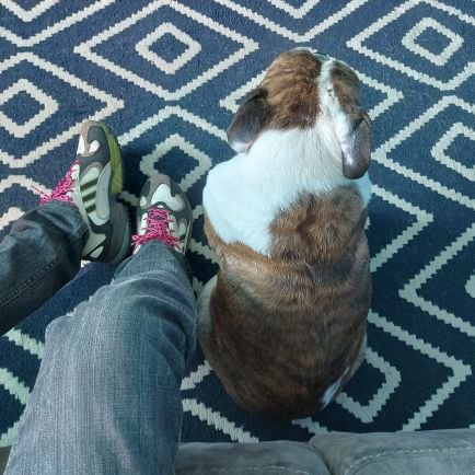 joseteambrosio's profile picture. Comunicólogo UNAM / Fotógrafo en FotosensibleMx / 🏊‍♂️🚴‍♂️ LA Dodgers 💙⚾️