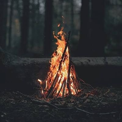 ozme11's profile picture. フォロバは気まぐれ。動画投稿者ならほぼ返します。エロいのRTする人フォロー外します。ごめんなさい。