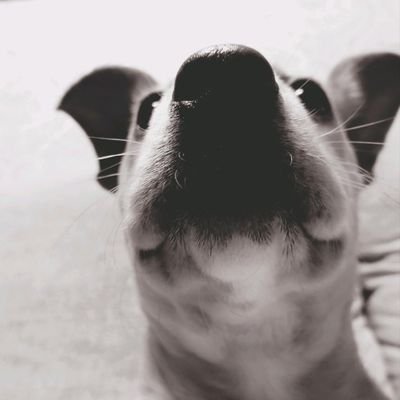 jrsen23's profile picture. 