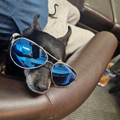 cryptickritical's profile picture. 
