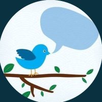 Blue Canaries (Publius) (@canariesblue) 's Twitter Profile