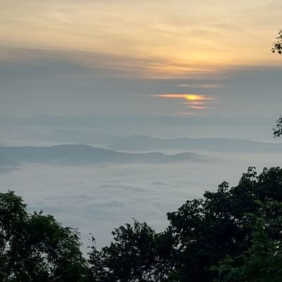 Neti_Va's profile picture. 