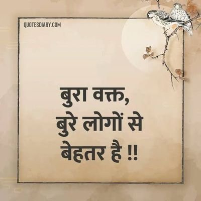 @shushma20031262