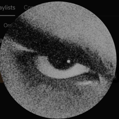 nikolaosmoraes's profile picture. You can't break a man the way you break a dog... Or a horse.