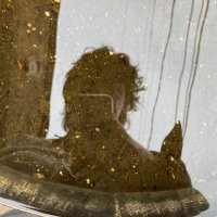 big dog you are mother i mean they (@finelylesberg) 's Twitter Profile Photo