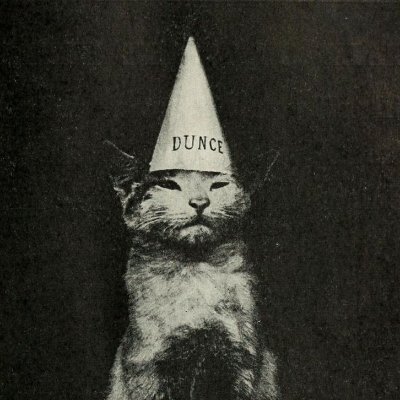 Letsi88's profile picture. ATENCIÓN: el contenido de esta cuenta es completamente ficticio, ningún tweet ni comentario representa la personalidad ni forma de pensar del individuo