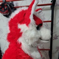 Kato_The_Fox (@kato_the_fox) 's Twitter Profile