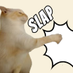 Slap Cat (@slapcatonsol) Twitter profile photo Slap Cat (@slapcatonsol) Twitter profile photo