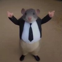 mr chedda (@bonkonmymanlet) 's Twitter Profile Photo mr chedda (@bonkonmymanlet) 's Twitter Profile Photo