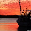 Al Pace - @EpancAl - Twitter