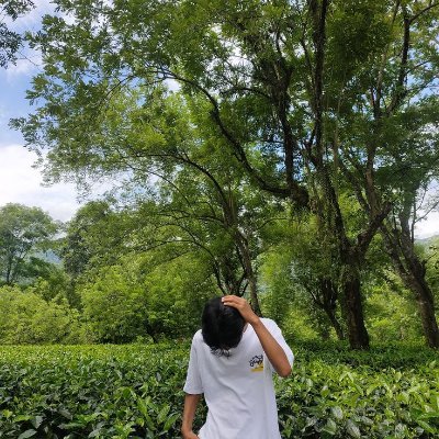 daniel_sinam's profile picture. Opinionist, education enthusiast