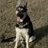 dean_paulson's profile image